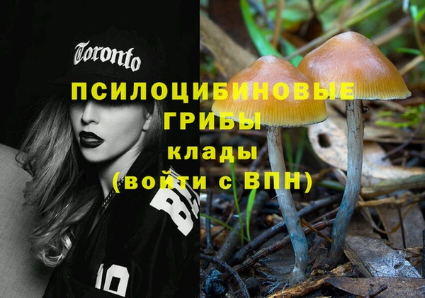 mdpv Абдулино