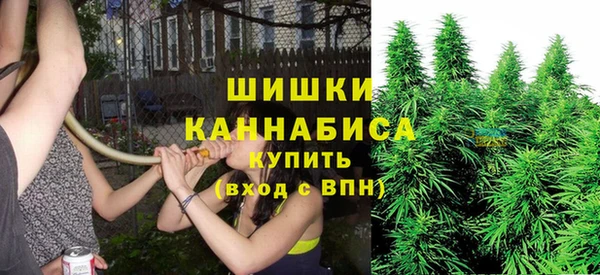 крисы Михайлов