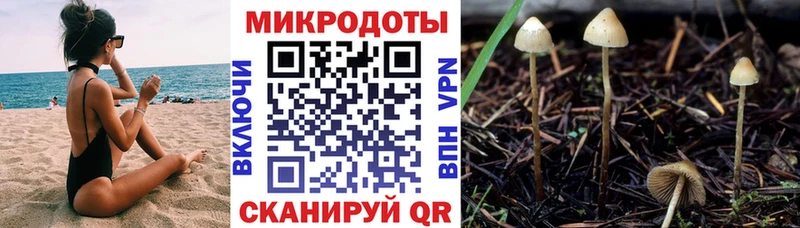 Псилоцибиновые грибы мицелий Краснодар