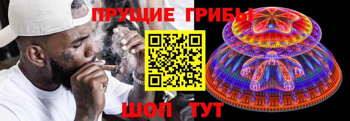 Галлюциногенные грибы Cubensis Краснодар